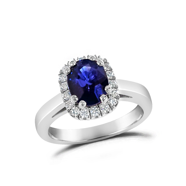 order provigil overnight